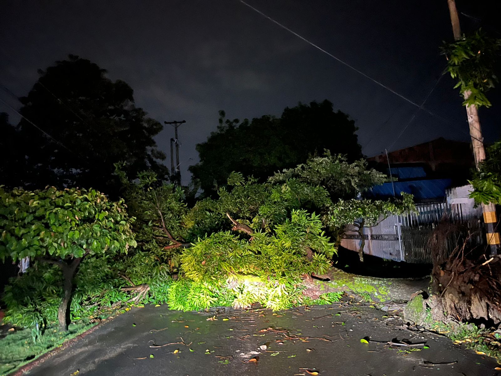 Fuertes lluvias causan daños en establecimientos del sur de Neiva.